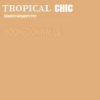  Hookedonwalls tropical chic