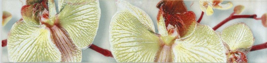  Бордюр Орхидея 6*25