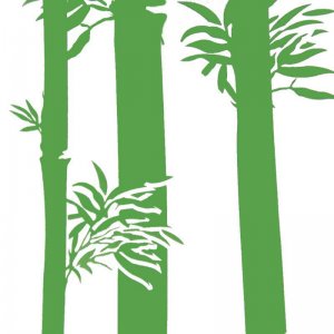 зеленый тростник