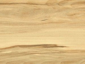 33 класс Floordreams ( Дикое яблоко)