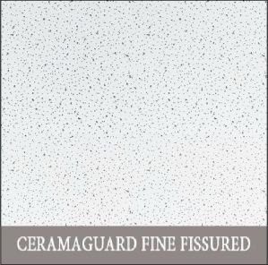  Ceramaguard Fine Fissured