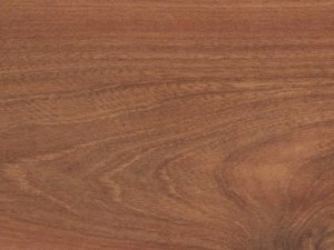 33 класс Floordreams (вяз Итальянский)