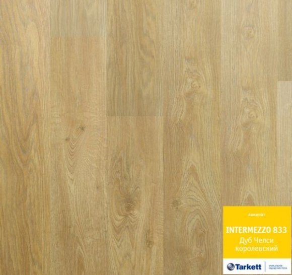 33 класс Intermezzo 833 Дуб Челси королевский